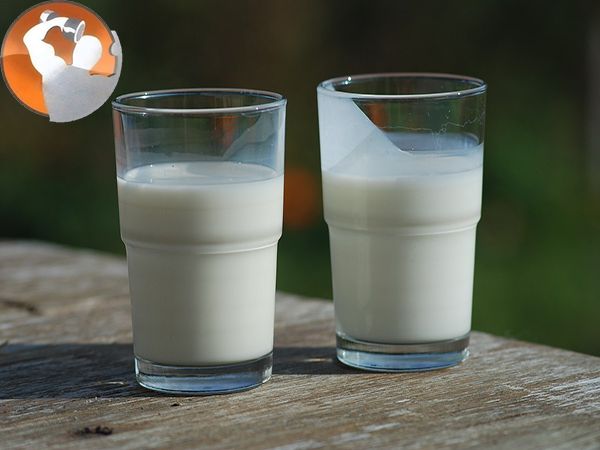 Bí quyết sử dụng sữa dinh dưỡng cho người tập thể hình