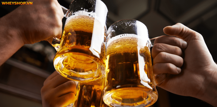 Tác hại của bia rượu đối với sức khỏe con người là rất nhiều, đặc biệt là người tập gym, thể hình. Vậy tập gym có được uống bia rượu? Uống bao nhiêu là đủ? ...
