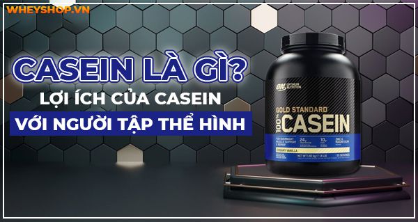 Casein là gì? Vai trò của Casein đối với việc phục hồi và phát triển cơ bắp? Tập gym có cần thiết bổ sung Casein hay không? Tác dụng phụ cần biết khi dùng Casein