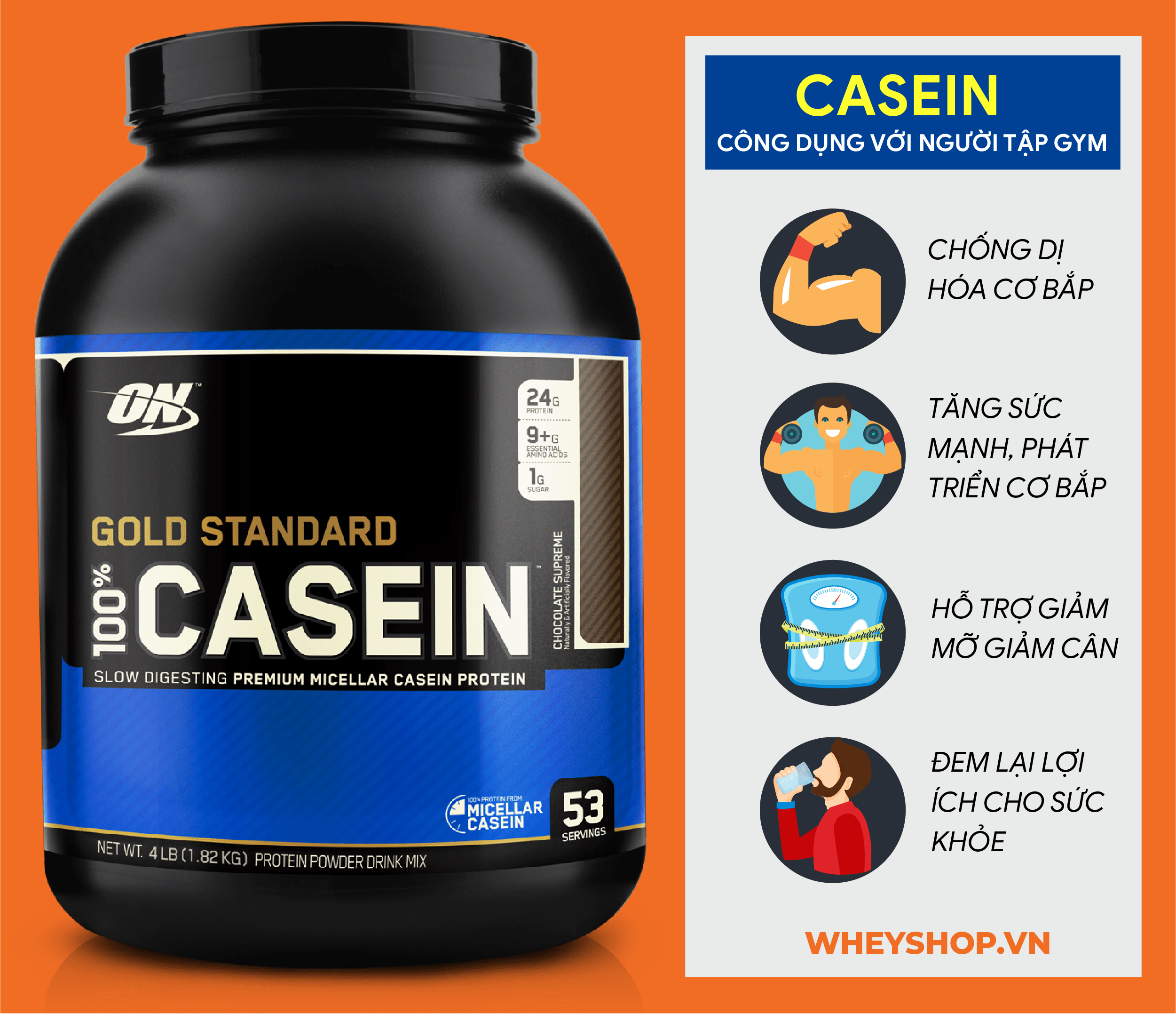 Casein là gì? Vai trò của Casein đối với việc phục hồi và phát triển cơ bắp? Tập gym có cần thiết bổ sung Casein hay không? Tác dụng phụ cần biết khi dùng Casein