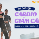 Bài tập cardio, có thể coi là các bài tập " định cao' trong cho hiệu quả giảm cân nhanh chóng, ngoài ra còn rất tốt cho sức khỏe bộ phận tim mạch cơ thể.