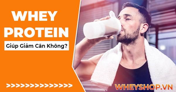 Uống dùng Whey Protein có giúp giảm cân không ? Tìm hiểu chi tiết cùng WheyShop với câu trả lời qua bài viết sau đây về Whey Protein giúp giảm cân hay không ...