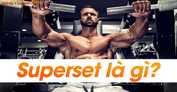 Superset là gì? Tìm hiểu chi tiết về Superset và cách áp dụng Superset hiệu quả nhất để tăng cơ bắp vượt trội hơn...