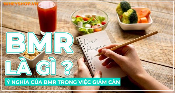 BMR là gì ? ý nghĩa của BMR trong giảm cân... BMR là từ viết tắt của Basal Metabolic Rate có nghĩa là tỉ lệ trao đổi chất cơ bản trong cơ thể con người...