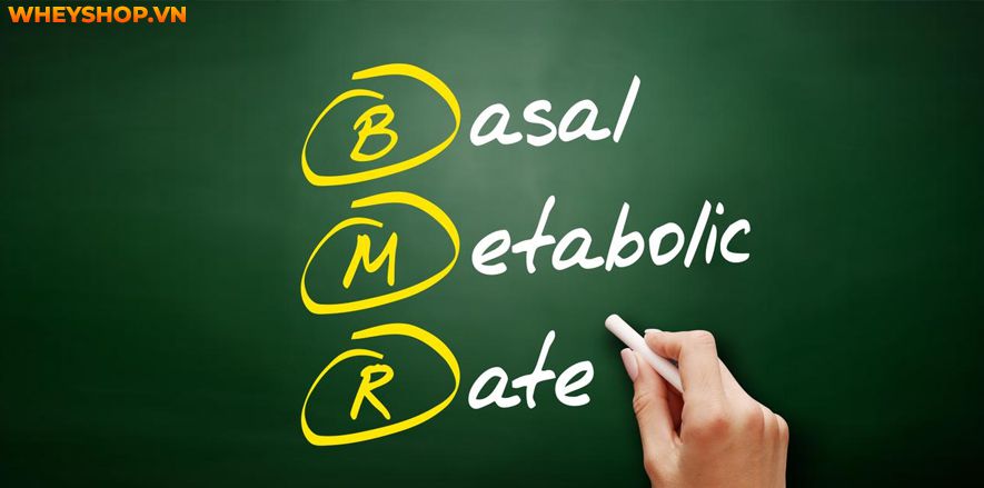BMR là gì ? ý nghĩa của BMR trong giảm cân... BMR là từ viết tắt của Basal Metabolic Rate có nghĩa là tỉ lệ trao đổi chất cơ bản trong cơ thể con người...
