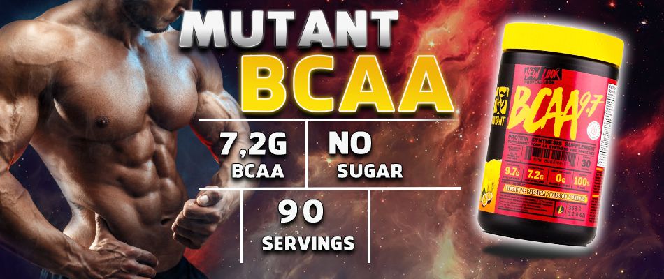 BCAA là một trong những sản phẩm quen thuộc của người tập gym, thể hình. Hãy cùng chúng tôi tìm hiểu 3 lý do để khẳng định BCAA đốt mỡ...
