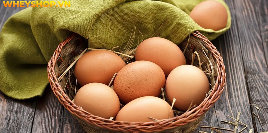  Ăn trứng gà sống có tốt không?