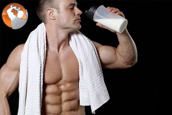 Tập thể hình nên uống sữa gì?