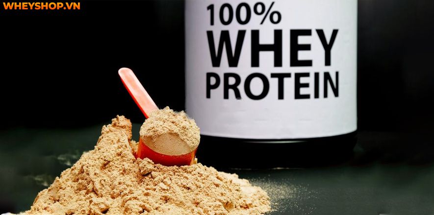 Whey protein bao nhiêu tiền? Có nên mua Whey Protein giá rẻ không? Cảnh giác với các sản phẩm được chào mời Whey Protein giá rẻ tràn lan thị trường...