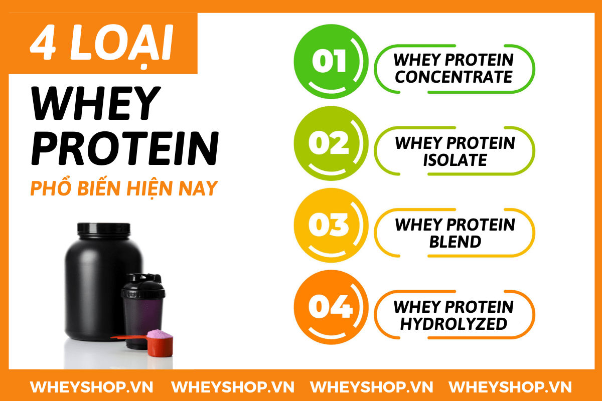 Nếu bạn đang phân vân tìm loại Whey Protein tốt nhất hiện nay thì hãy cùng WheyShop tham khảo chi tiết bài viết này nhé...