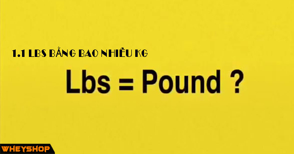 1.1lbs bằng bao nhiêu kg hay 1kg bằng bao nhiêu pounds (lbs)