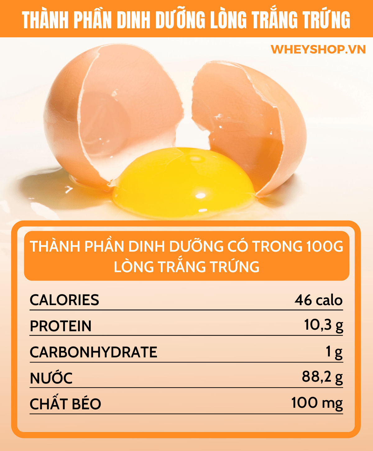 Lòng trắng trứng bao nhiêu protein