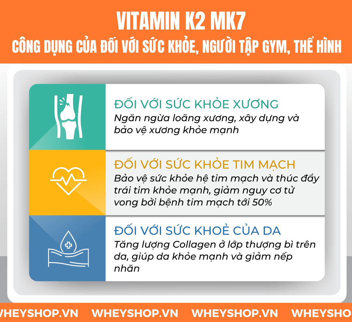 Tìm hiểu khái niệm Vitamin K2 Mk7 là gì, công dụng và lợi ích của Vitamin K2 Mk7 đối với sức khỏe và vai trò với người tập gym, tập thể hình