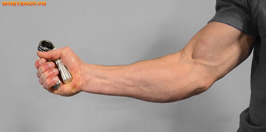 Cùng WheyShop tìm hiểu về 5 cách tăng sức mạnh cơ tay khỏe nhất vô cùng đơn giản cho cánh tay khỏe mạnh, dễ dàng thực hiện tại nhà...