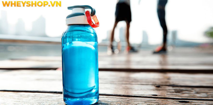 Nếu bạn đang lo lắng về việc uống nước nhiều có mập không, bụng to không thì hãy cùng WheyShop tham khảo giải đáp chi tiết qua bài viết...