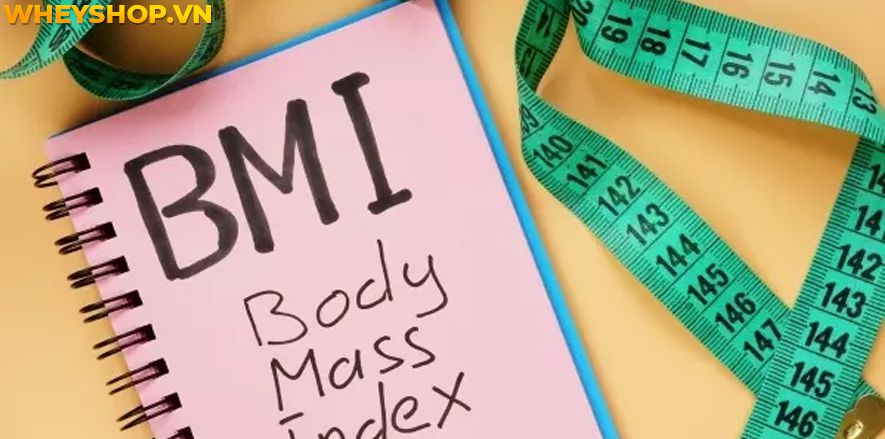 Nếu bạn đang băn khoăn tìm cách tính Chỉ số BMI của nữ thì hãy cùng WheyShop tham khảo bài viết sau đây để tìm...