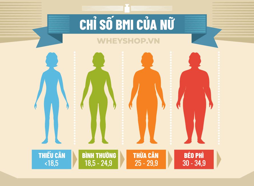Nếu bạn đang băn khoăn tìm cách tính Chỉ số BMI của nữ thì hãy cùng WheyShop tham khảo bài viết sau đây để tìm...