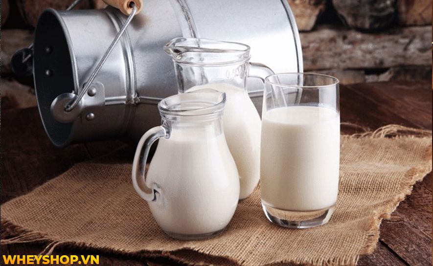 Nếu bạn đang băn khoăn có nên uống sữa trước khi tập gym buổi sáng hay không thì hãy cùng WheyShop tham khảo bài viết...
