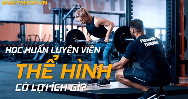 hoc huan luyen vien the hinh 12