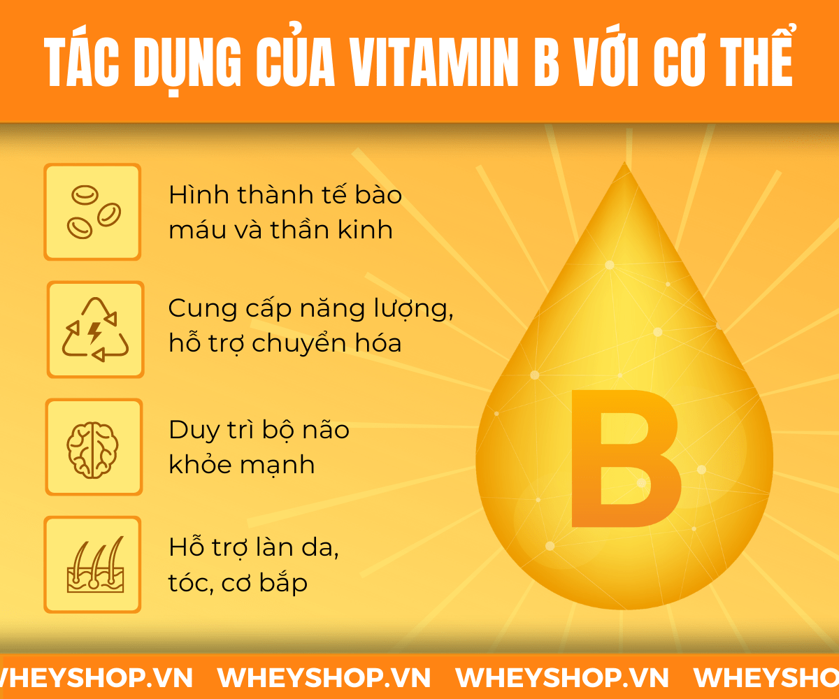 Vitamin đóng vai trò thiết yếu trong cuộc sống, nhất là với người tập gym. Cùng điểm qua Top 7 thực phẩm giàu vitamin B tăng năng lượng cho người tập gym...