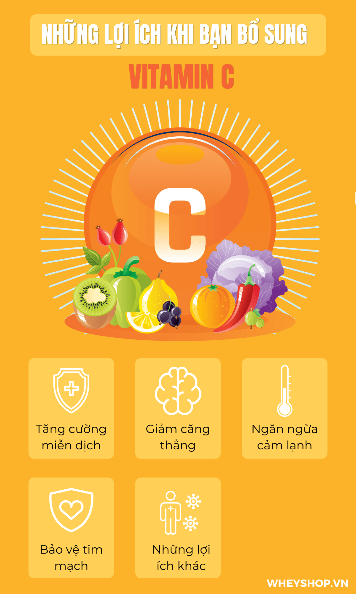 Chúng ta thường được khuyên nên bổ sung đầy đủ vitamin, đặc biệt là vào mùa hè cần phải bổ sung nhiều hơn lượng vitamin C. Vậy Vitamin C là gì?......