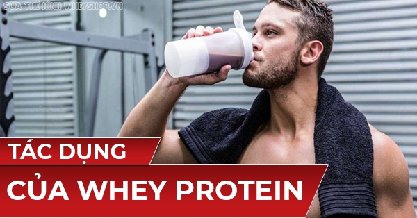 Tác Dụng Của Whey Protein Trong Tập Gym Thể Hình Cần Biết