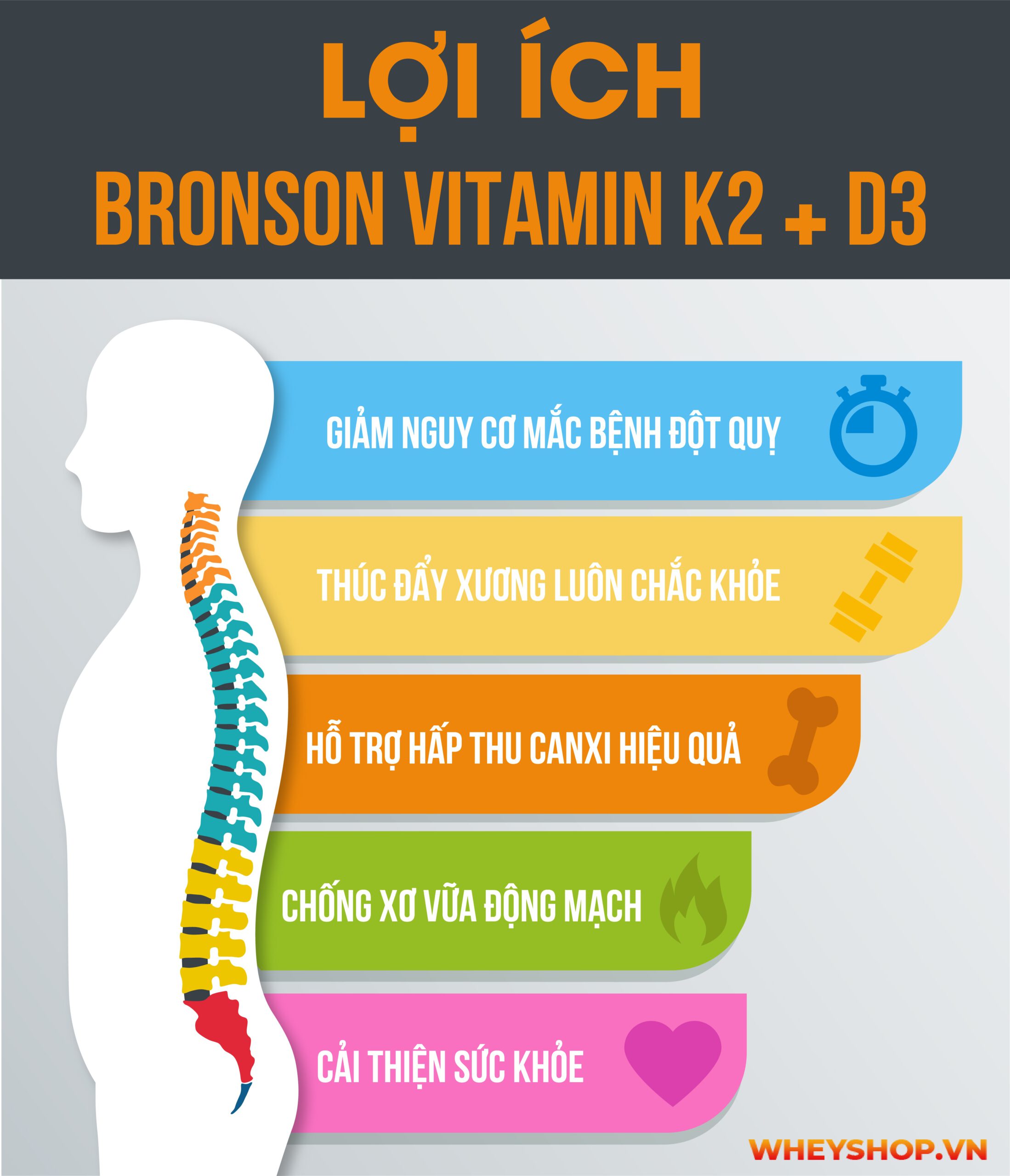 Vitamine K2 D3 là gì, Vitamine D3 K2 có tác dụng gì ? Cách sử dụng vitamine D3 K2 hiệu quả tốt nhất 