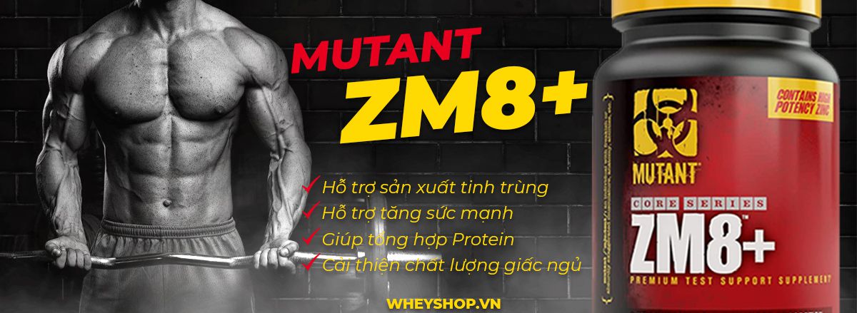 Mutant ZM8+ hỗ trợ tăng cường sinh lý, tăng sức mạnh, cải thiện giấc ngủ. Mutant ZM8+ được nhập khẩu chính hãng, cam kết chất lượng, giá rẻ nhất Hà Nội Tp.HCM.