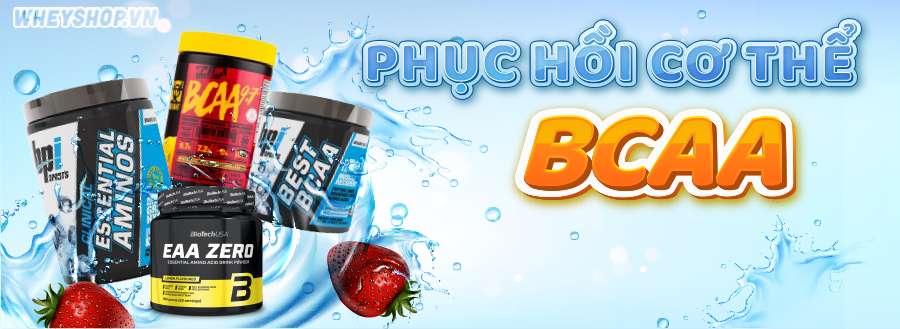 BCAA được nhập khẩu chính hãng, chuyên dành cho người tập gym. thể hình. Danh sách sản phẩm BCAA chính hãng, giá rẻ tại Hà Nội TpHCM