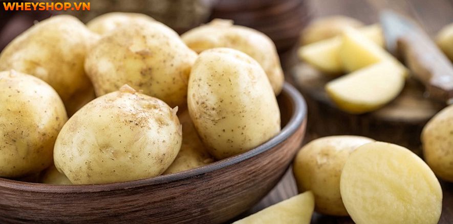 Cùng WheyShop tìm hiểu thông tin ăn khoai tây có béo không? Nếu sử dụng khoai tây đúng cách theo những gợi ý sau đây, chắc chắn loại củ này sẽ giúp bạn giảm cân hiệu quả.