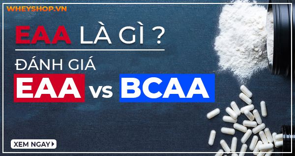 EAA là gì ? EAA là viết tắt của Essential Amino Acids bao gồm 9 loại axit amin thiết yếu phát triển cơ bắp. Đánh giá so sánh EAA với BCAA loại nào tốt hơn ?