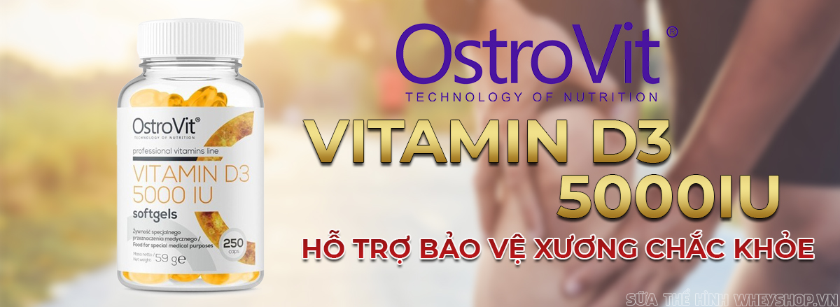 Ostrovit Vitamin D3 5000IU 250 viên hỗ trợ sản sinh testosterone cải thiện sinh lý, tăng cường hấp thu canxi chắc khỏe xương khớp và cơ thể khỏe mạnh