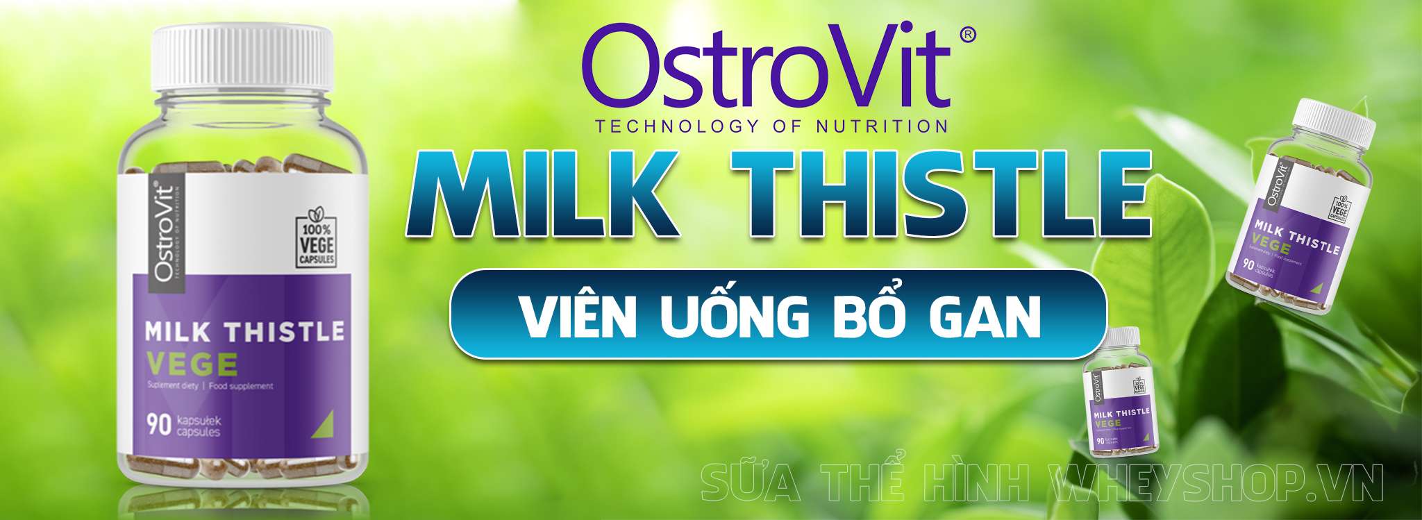 Ostrovit Milk Thistle là sản phẩm bổ gan, hỗ trợ chức năng gan có chứa chiết xuất từ hạt cây kế sữa hoàn toàn tự nhiên và vô cùng an toàn đối vơi sức khỏe.
