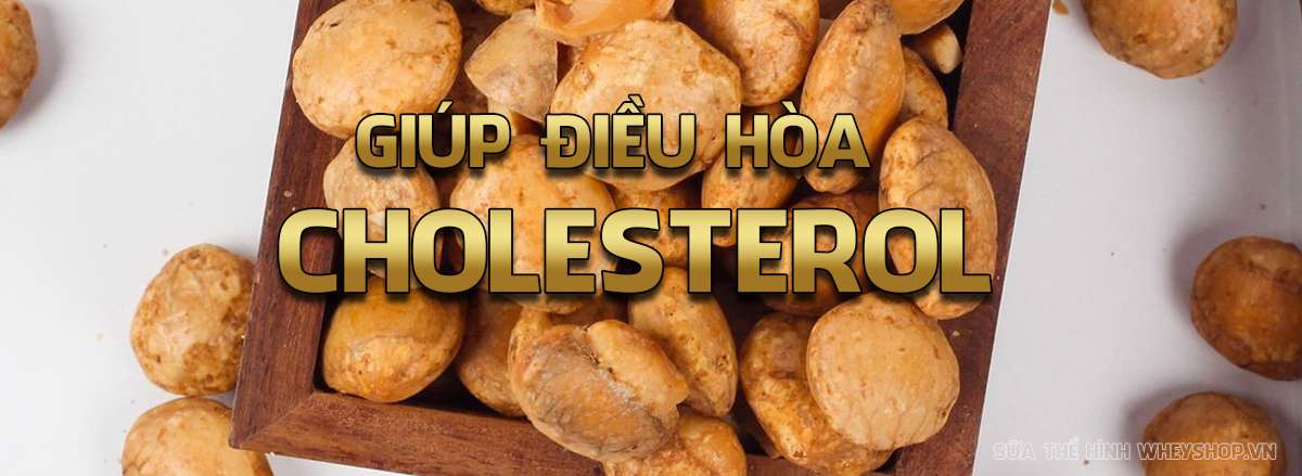 hat sa chi la gi loi ich cua hat sa chi doi voi suc khoe dieu hoa Cholesterol