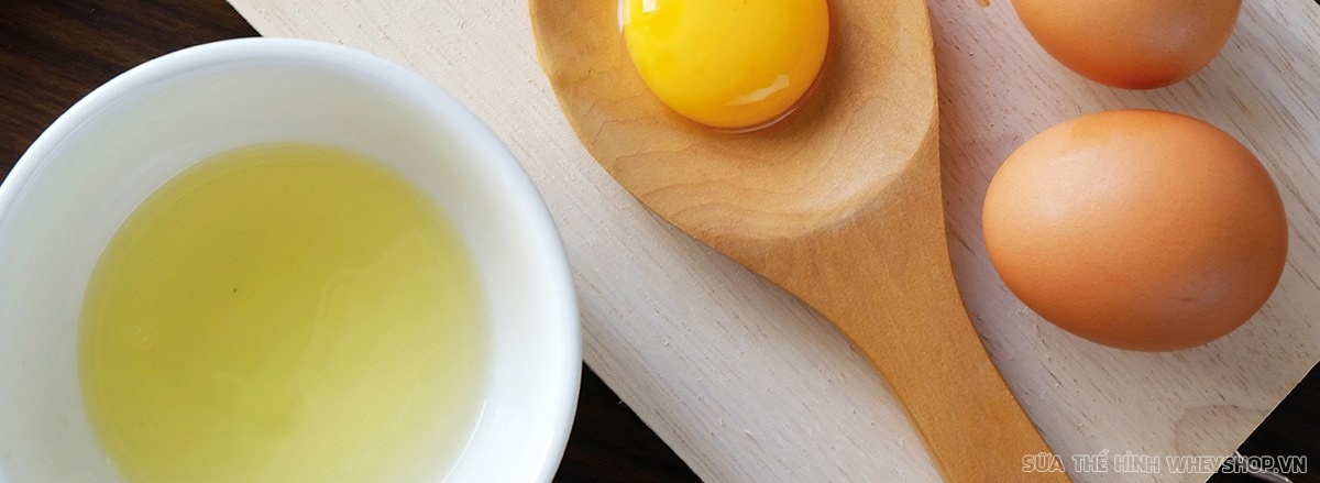 Lòng trắng trứng là thực phẩm bổ sung dinh dưỡng hàng đầu cho người tập gym thể hình. Hãy cùng tìm hiểu ngay 10 lợi ích tuyệt vời của lòng trắng trứng ...
