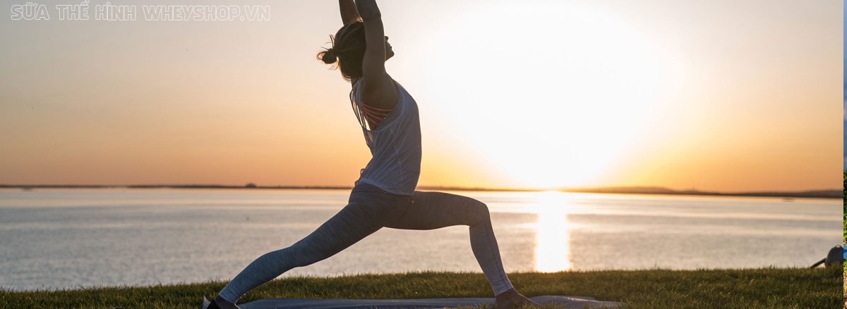 Cùng WheyShop tìm hiểu ngay 12 bài tập Yoga giảm mỡ bụng tại nhà, tập Yoga tại nhà đơn giản, hiệu quả cao dễ dàng thực hiện bất cứ lúc nào ...