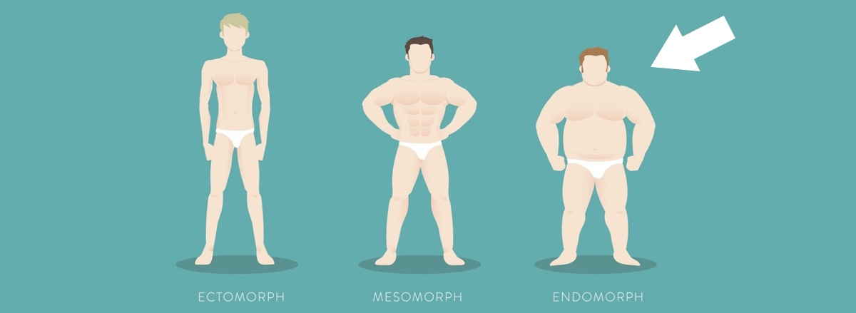 Tặng người Endomorph là gì ? Cùng WheyShop tìm hiểu cách giảm cân cho tạng người Endomorph qua bài viết chi tiết nhé ...