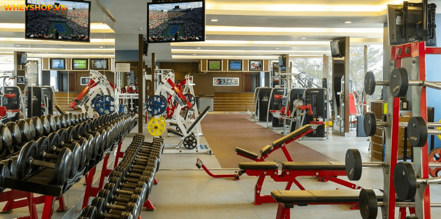 Tổng hợp danh sách 30 phòng gym, phòng tập gym gần đây xịn nhất quanh Hà Nội để bạn có thêm lựa chọn tập luyện tiện lợi, phù hợp với nhu cầu bản thân nhé ...