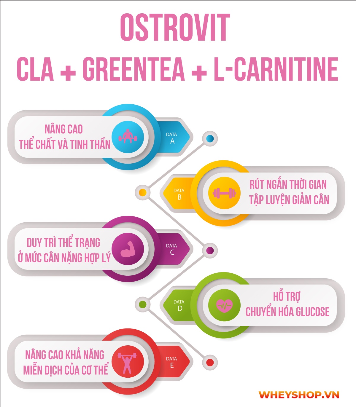Ostrovit CLA + Greentea + L-Carnitine là sản phẩm hỗ trợ giảm cân chuyển hóa mỡ thừa với sự kết hợp 3 trong 1, tăng cường trao đổi chất, giảm mỡ nhanh, hiệu quả 
