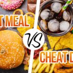 Cheat meal và cheat day là những phương pháp hàng đầu hỗ trợ giảm giảm cân, giảm mỡ. Cùng WheyShop tìm hiểu chi tiết về cheat meal và cheat day...