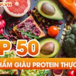 Protein thực vật là gì? Protein thực vật thay thế được protein động vật không? Tham khảo top 50 thực phẩm giàu protein thực vật tốt nhất