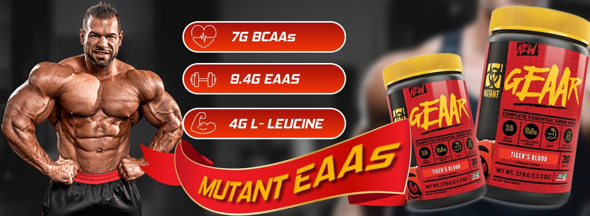 Mutant EAA GEAAR là sản phẩm bổ sung 9 nguồn amino axit thiết yếu cần thiết cho cơ bắp. Mutant EAA nhập khẩu chính hãng, giá rẻ tại Hà Nội TpHCM