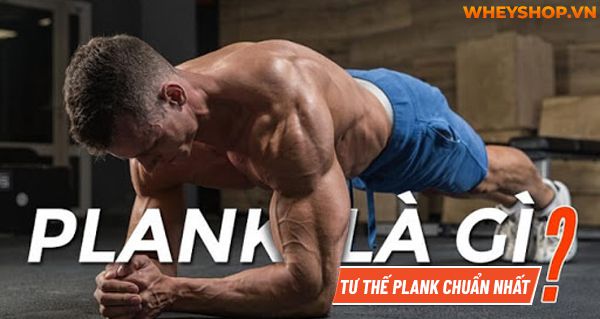 Nếu bạn đang băn khoăn trong việc tìm cách Plank đúng cách, đơn giản và giảm mỡ hiệu quả thì hãy cùng WheyShop điểm qua bài viết...