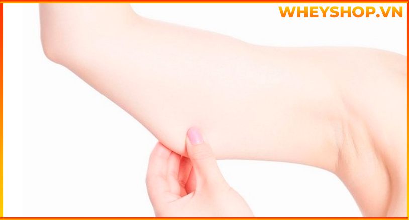 Nếu bạn đang loay hoay trong việc tìm cách giảm bắp tay to thì hãy cùng WheyShop điểm qua bài viết về nguyên nhân và cách khắc phục bắp tay to...