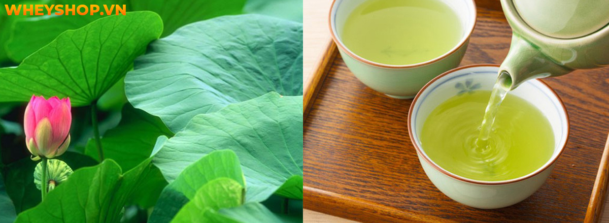 Nếu bạn đang tìm cách giảm cân bằng trà xanh thì hãy cùng WheyShop điểm qua 10 cách giảm cân bằng trà xanh qua bài viết...