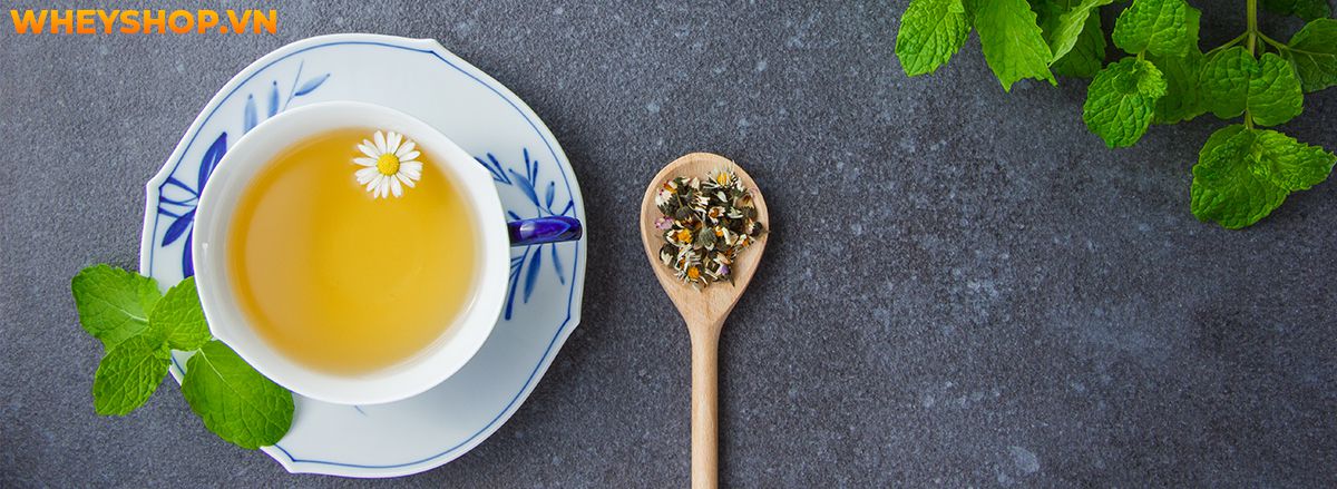 Nếu bạn đang tìm cách giảm cân bằng trà xanh thì hãy cùng WheyShop điểm qua 10 cách giảm cân bằng trà xanh qua bài viết...