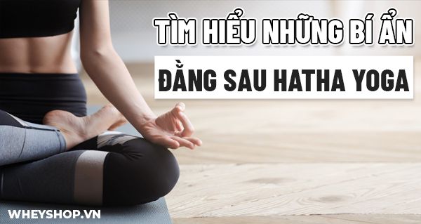 Hatha Yoga có lẽ là một thuật ngữ phổ biến đối với những người tập yoga lâu năm. Nhưng đối với người mới bắt đầu hoặc chưa biết gì về yoga thì đây vẫn còn là...