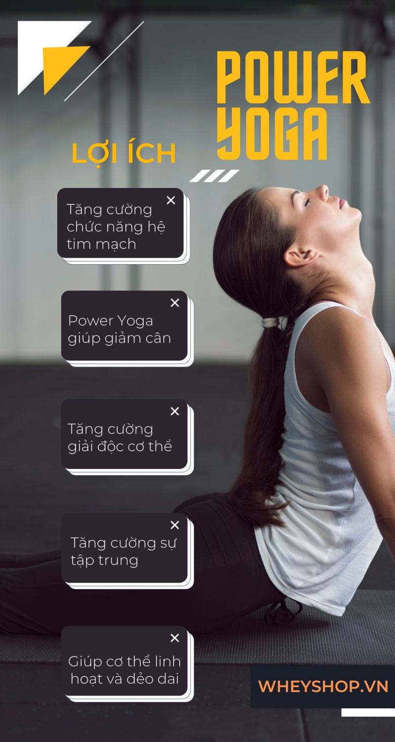 Power Yoga là một trong nhiều loại hình Yogađược rất ưa chuộng nhất hiện nay. Đây là loại hình Yogagiúp mang lại nhiều lợi ích với sức khỏe tim mạch, mang...