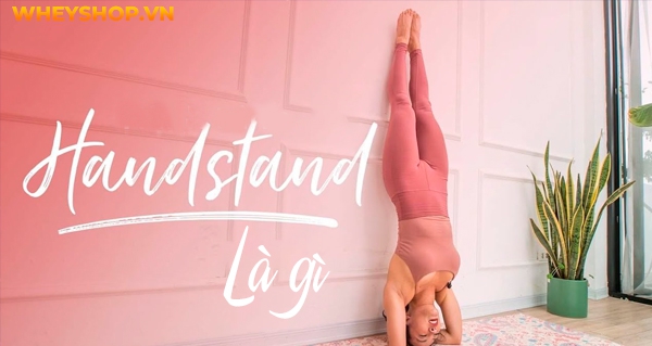 Tư thế trồng chuối bằng tay Handstand là một trong những tư thế yoga "đỉnh cao", nhưng không phải vì thế mà nó không thực hiện được. Nhưng nếu không cẩn thận...