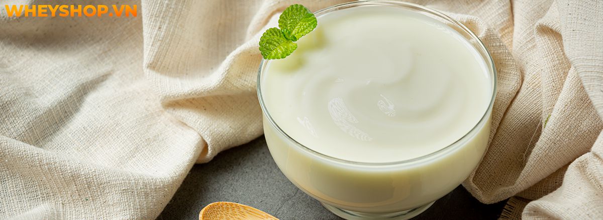 Ăn sữa chua buổi tối có tăng cân không? – Wheyshop